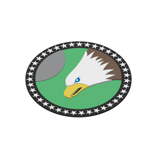 Slicer thumbnail for 555th Fighter Squadron